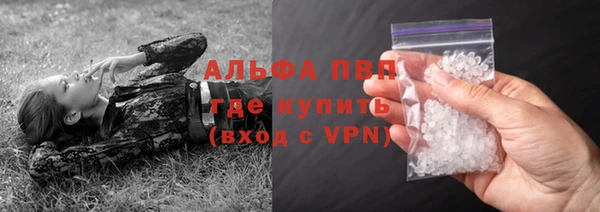 спиды Бородино