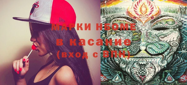 шишки Белоозёрский