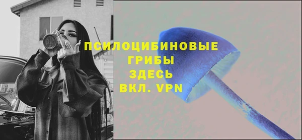 шишки Белоозёрский