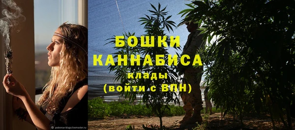 шишки Белоозёрский