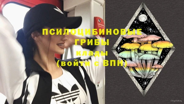 индика Бронницы
