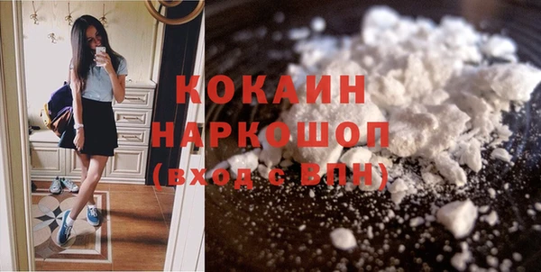 индика Бронницы