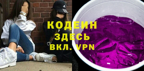 шишки Белоозёрский