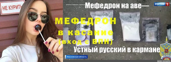 мдпв Богородск