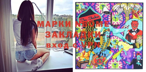 индика Бронницы