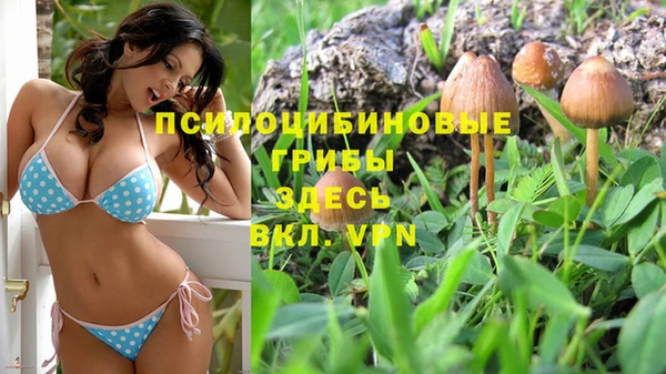 марихуана Белокуриха